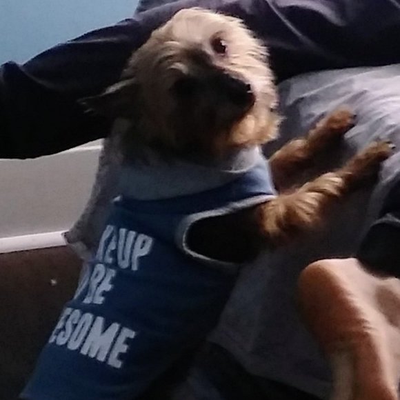 Meet your Posher, Anna - Picture 1 of 1